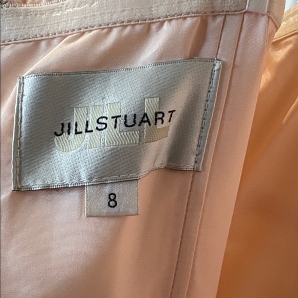 ⭐️ Jill Stuart Strapless Light Peach Silk Gown with Silver Accents - size 8 - Picture 2 of 13